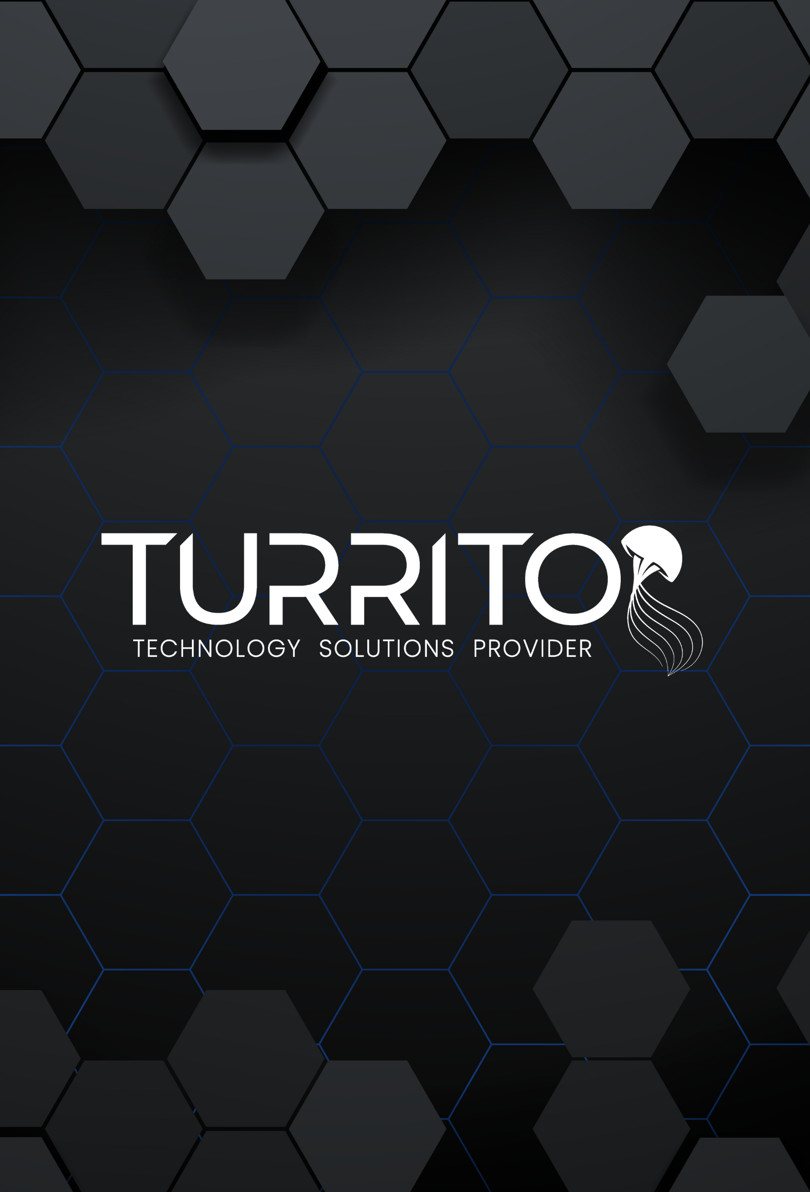 Brand image of Turrito